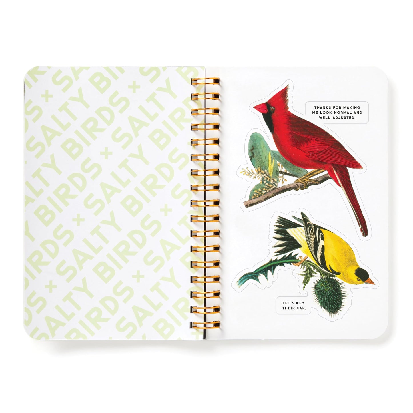 Shady Birds Sticker Book