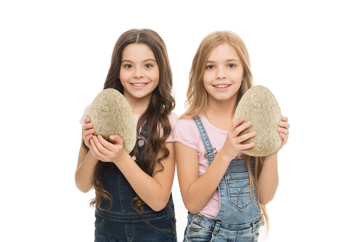 Giant Dino Egg STEM Set