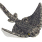 Aurora® Adorable Mini Flopsie™ Sting Ray Stuffed Animal - Playful Ease - Timeless Companions - Gray 8 Inches