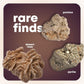 Dan&Darci Rock Collection for Kids - 250+ Bulk Rocks, Gemstones & Crystals - 2 Lbs. STEM Science Toys for Ages 6+ - Multicolor