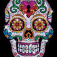 Sequin Art Sugar Skull Sparkling Arts and Crafts Picture Kit; Creative Crafts for Adults and Kids