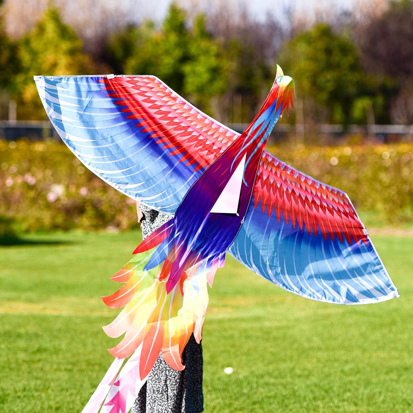 Mint’S Colorful Life Rainbow Phoenix Kite For Kids And Adults, Easy To Fly Large Beach Kites
