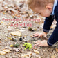 Meroco Live Tadpole To Frog Life Cycle Toys For Kids Mosquito Bug Toys For Kids 3-5 Animal Matching Game Life Cycle Figurines Fo