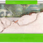 Ant Jungle Terrarium
