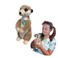 Ecobuddiez - Meerkat From Deluxebase. 9-Inch Sustainable Plush Animal From Recycled Materials, Eco-Friendly Soft Stuffed Toy, Ch