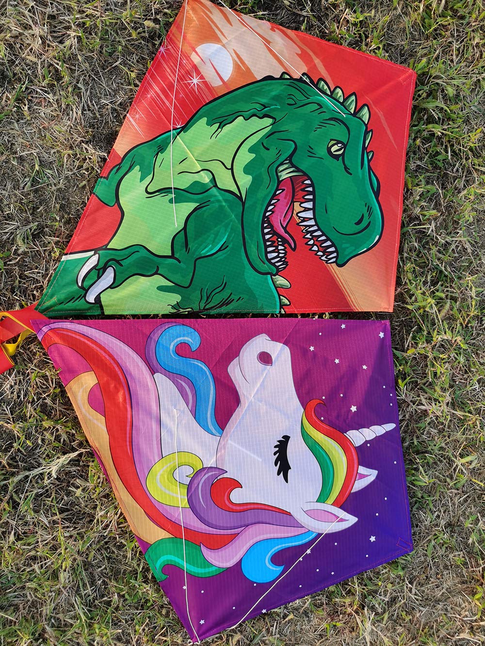 Diamond Kite [2 Pack] Dinasour+Unicorn Eddy Kite, Beginners Kite For Children, Wonderful Beginner Kite For 3 Years Up, 60X70Cm W