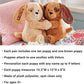 Let'S Make Memories Personalized Hugging Plush Puppies - For Birthday - Puppy Love - Dog Stuffed Animal For Kids - For Boy - For