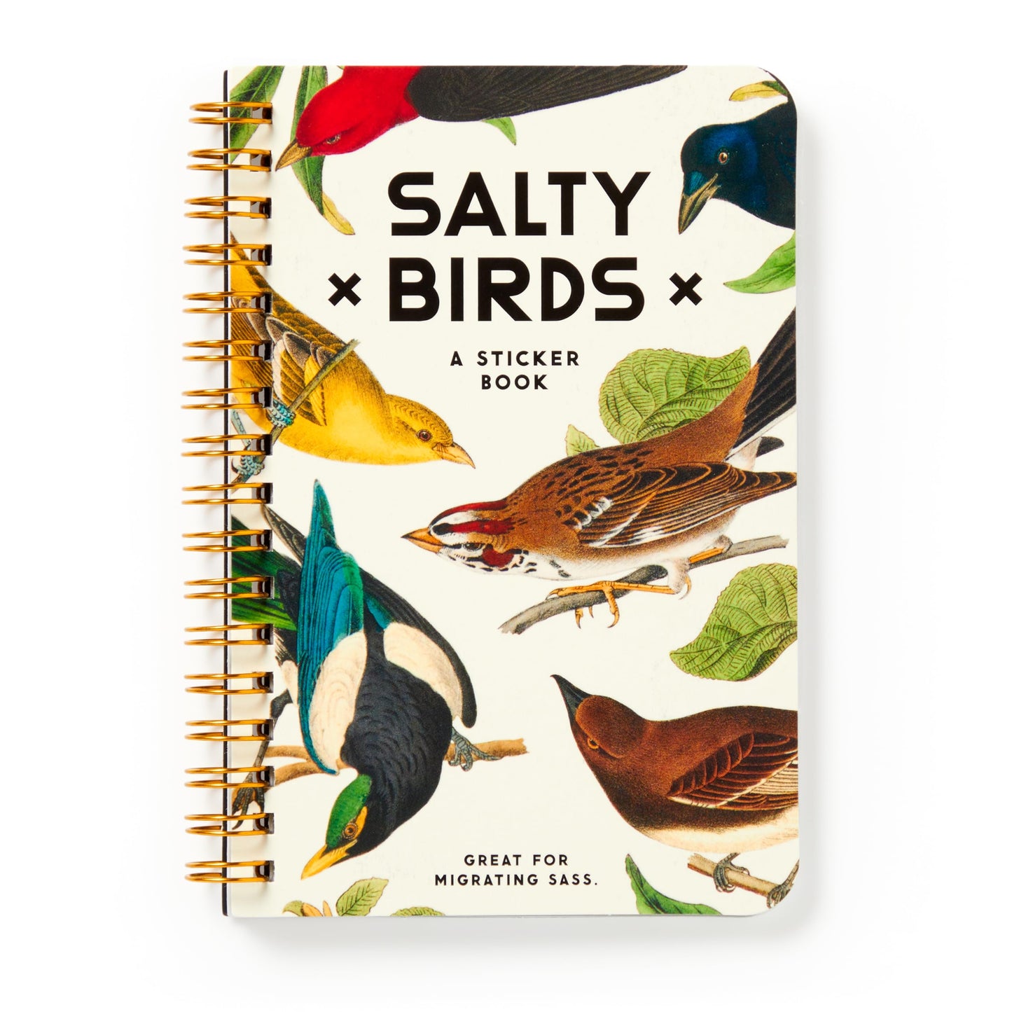 Shady Birds Sticker Book