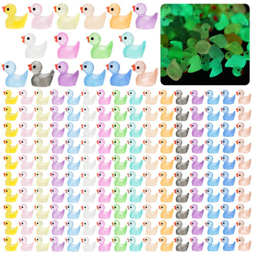 Crtwdman 240Pcs Luminous Mini Resin Ducks,Tiny Ducks Glow In The Dark,Little Ducks,Small Ducks To Hide,Miniature Figures For Par