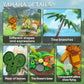 Koroks Building Set Toy, 5 In 1 Model Building Block Kit For Botw Fans, Cute Game Action Figures, Great Gift For Fans Adults And