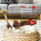 Plenty Gifts - Perfect Petzzz | Peluche R  Aliste - Shih Tzu| Avec Bote De Transport Et Lit | Piles Incluses