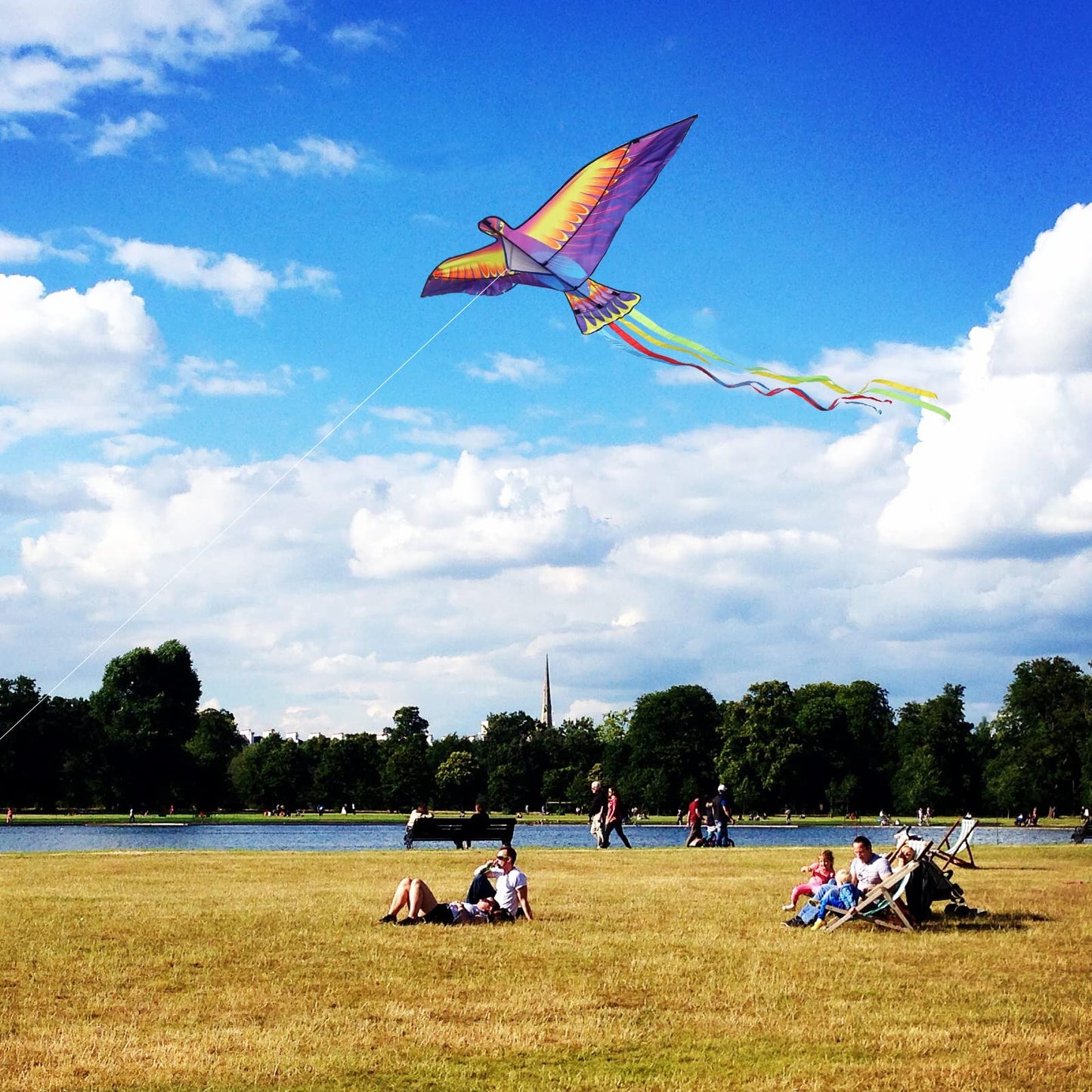 Mints Colorful Life Large Phoenix Bird Kite For Kids Adults, Easy To Fly Single Line Beach Kite, Comes With Kite Handle And 300F