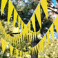 Tatuo 820 Ft 500 Pcs Pennant Banner Flag String Hanging Triangle Bunting Flag For Party Celebration Holiday Wedding Decoration, 10 Set (Yellow)