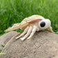 Zhongxin Made Giant Silk Moth Plush - Lifelike 26' Silk Moth Stuffed Animal, Realistic Soft Big Wings Moth Weigted Toys, Simulation Butterfly Plushie Model Toy, Unique Plush Collection For Kids