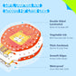 9 Pieces Lacing Cards, Double Sided Sewing Cards In 9 Jungle Animals With 9 Colorful Laces, Imagination Development Lacing Toys Games Educational And Learning Activity For Preschoolers, Kids