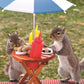 Springbok's 350 Piece Jigsaw Puzzle Squirrel Feeder - Made in USA