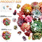 Wooden Puzzles For Adults 500 Piece, Colorful Succulent Puzzle For Mom, Challenging Puzzle, Luxurious Shaped Wooden Puzzles For