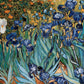 Eurographics Irises By Vincent Van Gogh Puzzle (1000-Piece) (6000-4364)