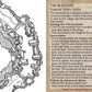 Inkwell Ideas Sidequest Decks: Wilderness & Frontier Fantasy