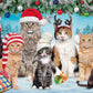 Buffalo Games Meowy Christmas 300 Piece Jigsaw Puzzle - Multicolor, Paper, 21.25 x 15.00, Perfect for Game Nights, Model 2707