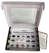 Rocksmins Mr15Wm Collection Set Of 15 Metamorphic Rocks For School Education Rocks Samples Activity Geology Rock Memory Great Ed