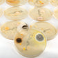 Steve Spangler'S Growing Bacteria Science Experiment Kit