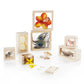 Guidecraft Treasure Blocks - Clear: Smooth Wooden Observation Stacking Blocks with Transparent Windows, Educational Toy for Kids