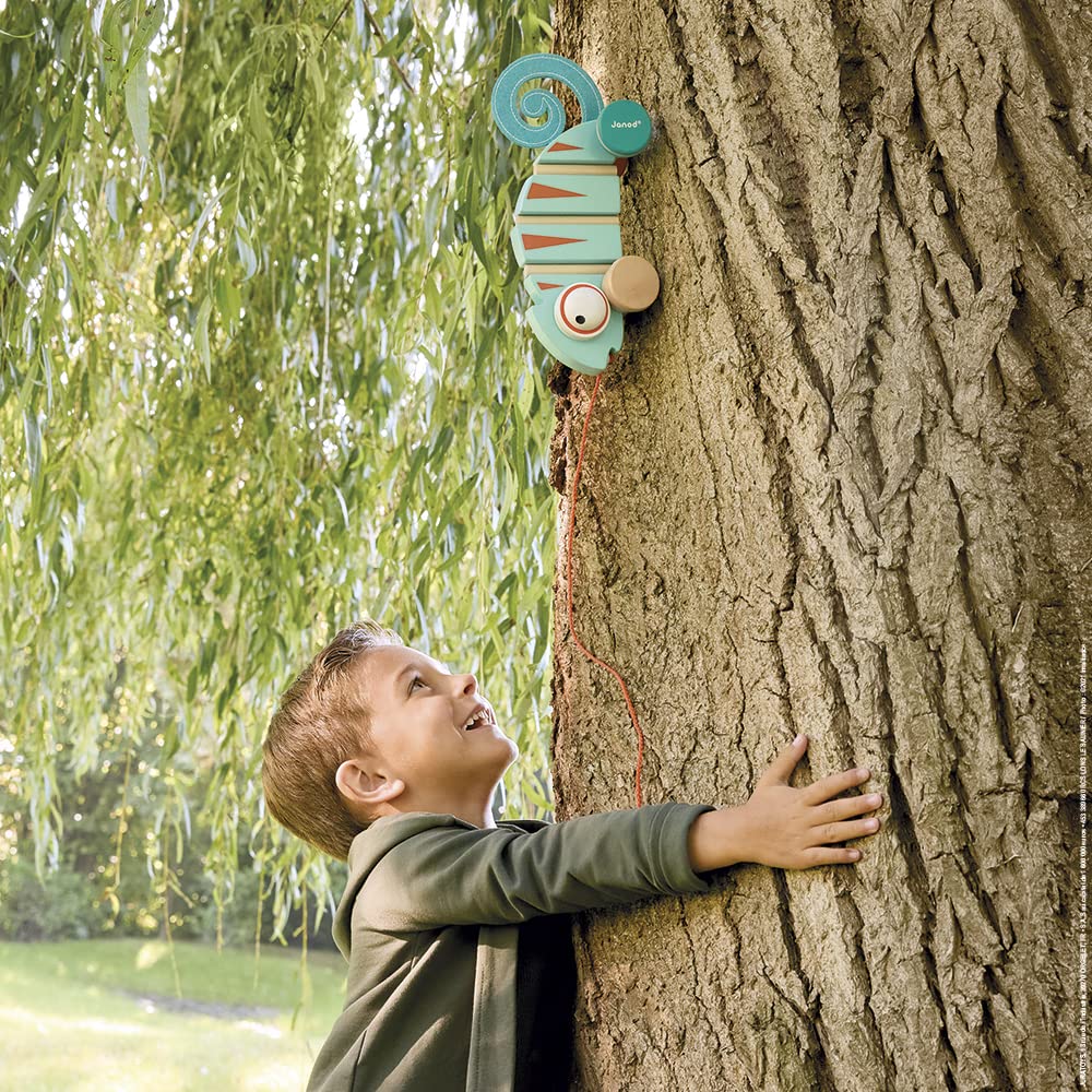Janod - Tropik Pull-Along Chameleon - Wooden Early-Learning Toy - Silent Wheels - Educational Walking And Balancing Toy - Water-Based Paint - 1 Year + J08264, Green