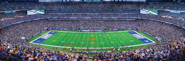 Masterpieces Nfl New York Giants Stadium Panoramic Jigsaw Puzzle, Team Color, 1000 Pieces - 13' X 39' (91355)