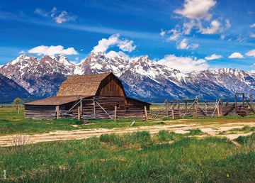 Beduke Jigsaw Puzzles For Adults 1000 Pieces Grand Teton National Park Precise Interlocking Thick Sturdy Cardboard Family Game 1