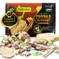 Nature Gear Dino Fossil Dig Kit For Kids, Educational Excavation Kit With 15 Glow In The Dark Mystery Fossils, Interactive Dinosaur Science Kits For Kids Age 3-5 And Up, Excavation Adventure Kit