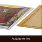 Cartas de Tarot Da Brigh Originales con Guía para Principiantes - Baraja Alternativa a Rider Waite, Tamaño Medio