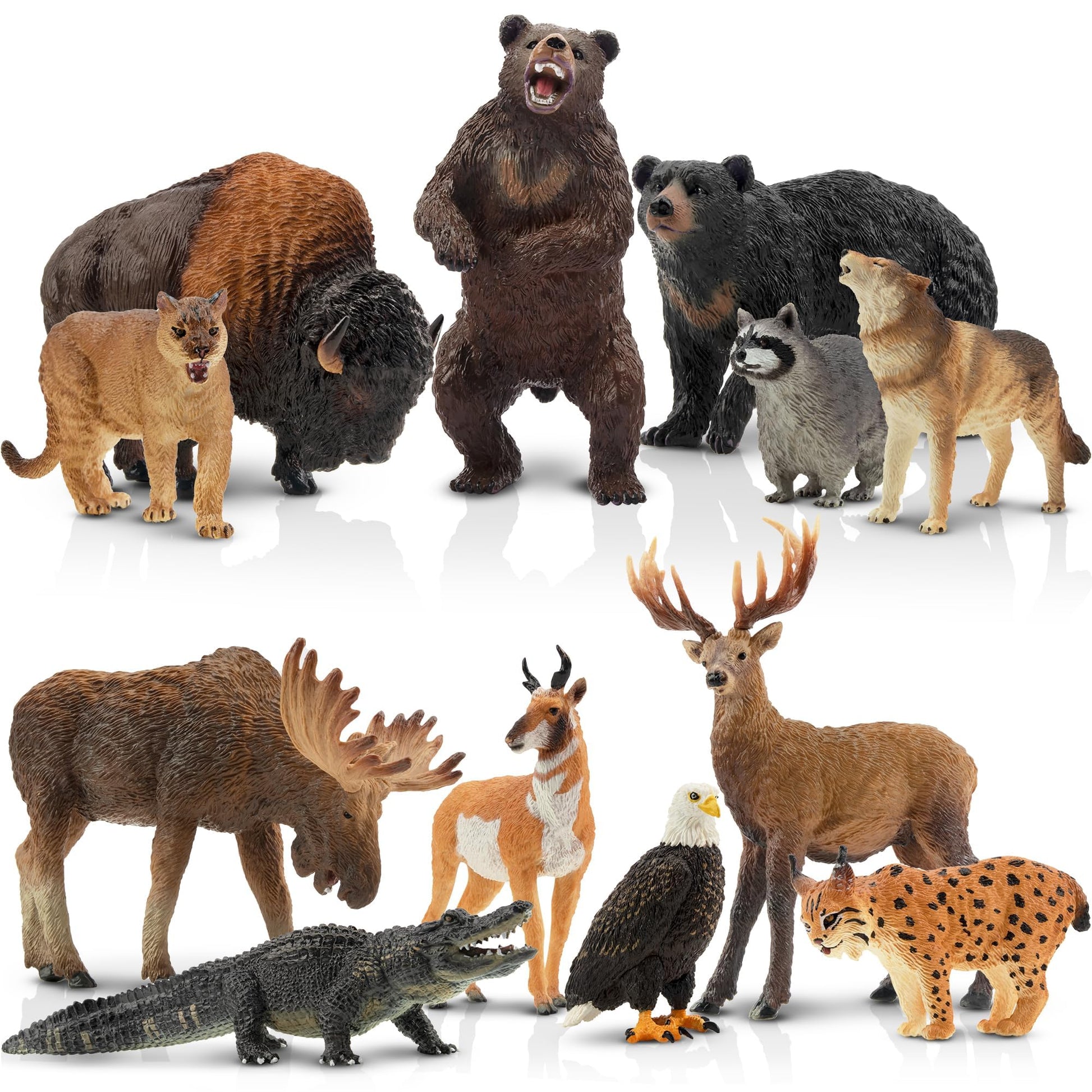 Toymany 12Pcs North American Forest Animal Figurines, Realistic Jungle Animal Set Includes Raccoon,Lynx,Wolf,Bear,Eagle, Educational Toy Cake Toppers Christmas Birthday Gift For Kids Toddlers