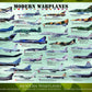 Eurographics Modern Warplanes Puzzle (1000-Piece)
