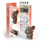 Eugy Bear 3D Puzzle, 26 Piece Eco-Friendly Educational Toy Puzzles For Boys, Girls & Kids Ages 6+