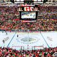 Masterpieces 1000 Piece Sports Jigsaw Puzzle - NHL Chicago Blackhawks Center View Panoramic - 13x39