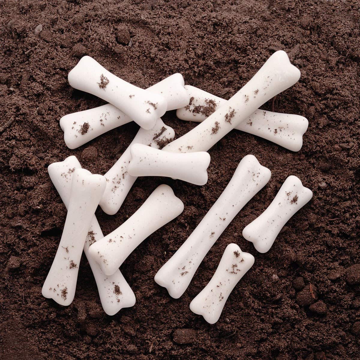 Yellow Door YUS1038 Dinosaur Bones Discovery Set (Pack of 12)