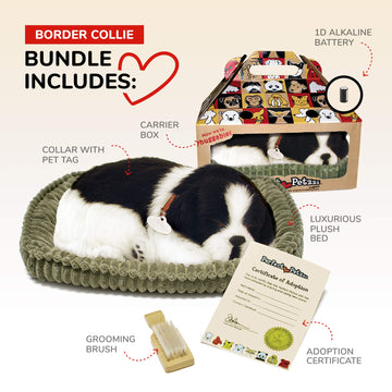 Border Collie - Pet Mate/Nap Breathing Life Like Sleeping Dog In Bed Sleeping Pet