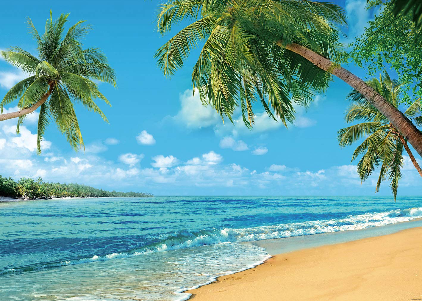 Ruini Polyester Tropical Beach Backdrop Summer Palm Trees Photography Backdrop Blue Sea Sky Sunshine Luau Themed Party Decoratio