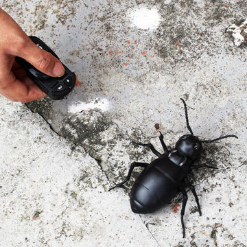 Tipmant Remote Control Ants RC Car Vehicle Animal Electric Insect Kids Toy for Birthday Christmas