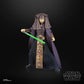 STAR WARS The Black Series Luminara Unduli  Attack of The Clones enhanced Collectible 6 Inch Action Figure