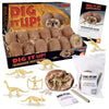 Mindware Dig It Up! Dinosaur Skeleton Eggs Excavation Kit - Comes With 12 Clay Eggs, 12 Chisel Tools And 12 Instruction Sheets