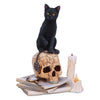 Nemesis Now Lisa Parker Spirits Of Salem Figurine 16.5Cm, Resin, Lisa Parker Figurine, Spirits Of Salem Artwork, Salem Witch Trials Gothic Ornament, Cast In The Finest Resin, Expertly Hand-Painted