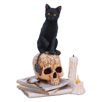 Nemesis Now Lisa Parker Spirits Of Salem Figurine 16.5Cm, Resin, Lisa Parker Figurine, Spirits Of Salem Artwork, Salem Witch Trials Gothic Ornament, Cast In The Finest Resin, Expertly Hand-Painted