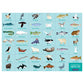 Search and Find Arctic Life Picturesque Puzzle