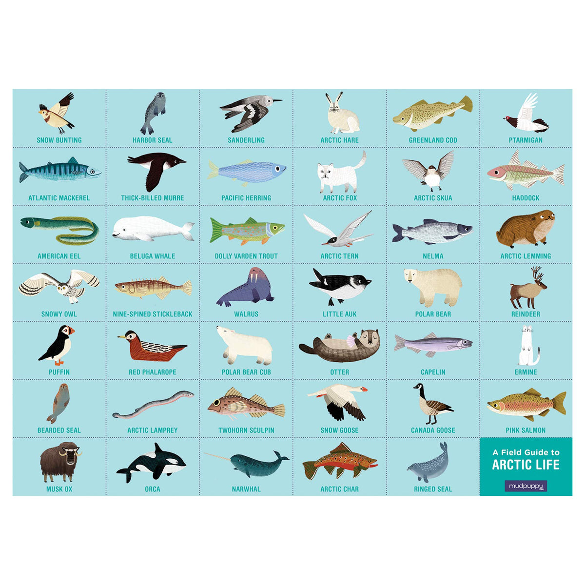 Search and Find Arctic Life Picturesque Puzzle