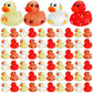 Libima 12 Pcs 2 Inch Fall Mini Rubber Ducks Thanksgiving Rubber Duckies With Pumpkin Leaf Turkey Printed Fall Theme Rubber Ducks