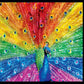 Peacock Delight 550 Pc