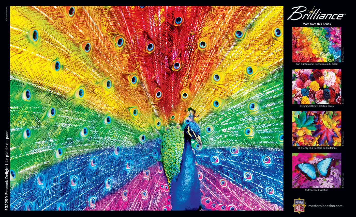 Peacock Delight 550 Pc