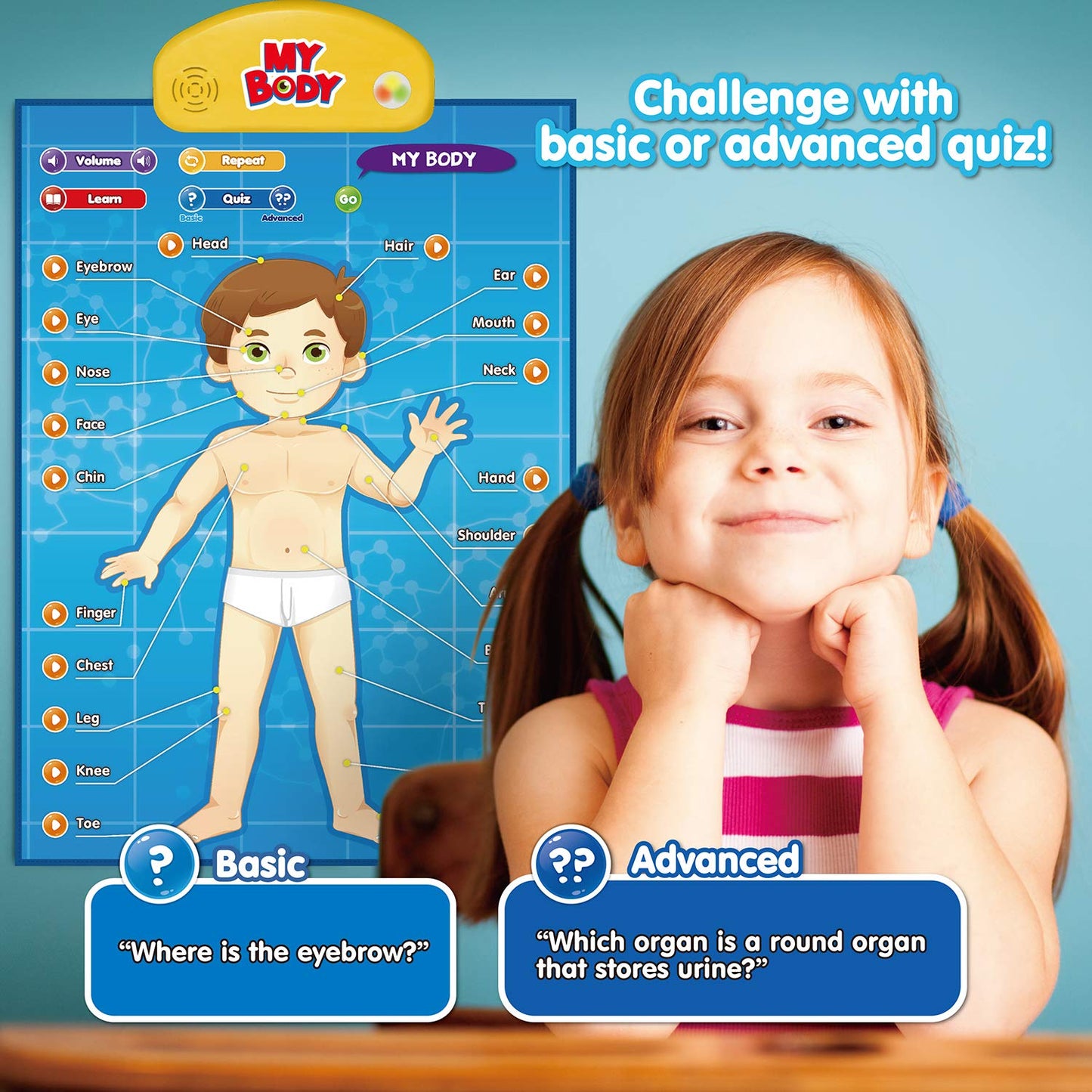 BEST LEARNING i-Poster My Body - Interactive Educational Human Anatomy Talking Game Toy | Learn Body Parts, Organs, Muscles and